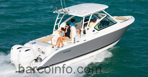 Pursuit DC 266 ficha tecnica 